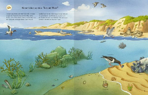 9783473329830 - Sample content