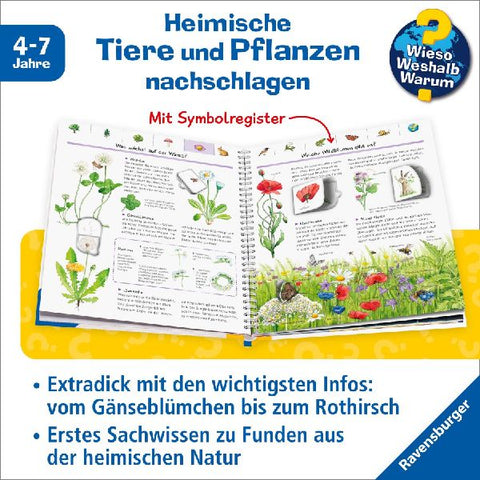 9783473329892 - Sample content