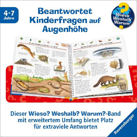 9783473329892 - Sample content