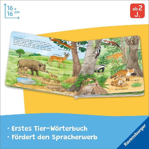 9783473419173 - Sample content