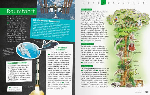 9783473480012 - Sample content