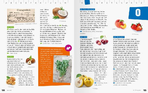 9783473480012 - Sample content