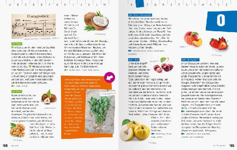 9783473480012 - Sample content