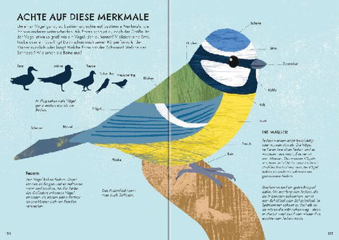 9783473480531 - Sample content