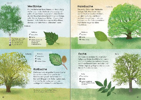 9783473480531 - Sample content