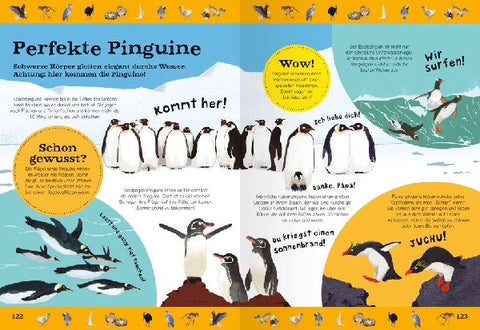 9783473480692 - Sample content