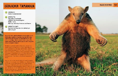 9783473480715 - Sample content