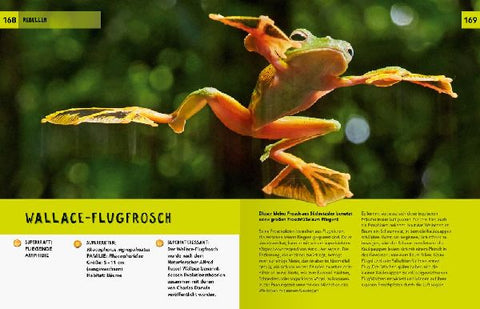 9783473480715 - Sample content