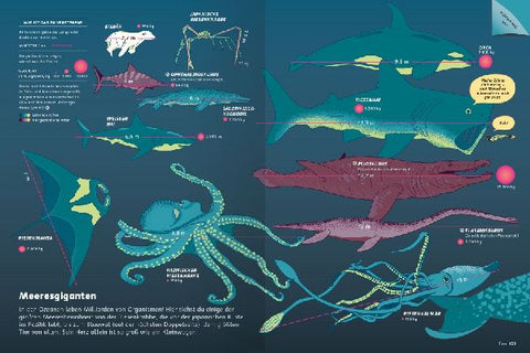 9783473480791 - Sample content