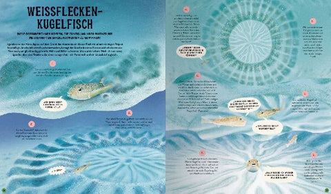 9783473480869 - Sample content