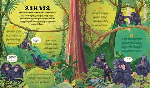 9783473480869 - Sample content