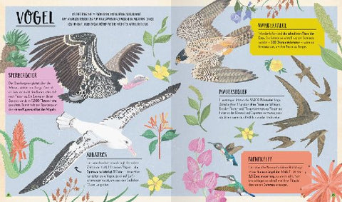 9783473480913 - Sample content