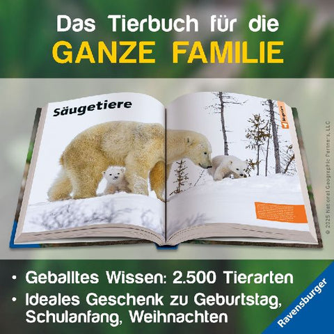 9783473480951 - Sample content