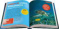 9783473481194 - Sample content