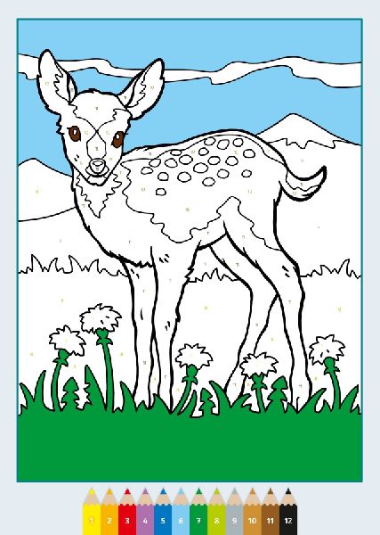 9783473488636 - Sample content