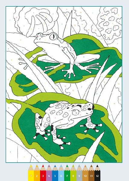 9783473489138 - Sample content