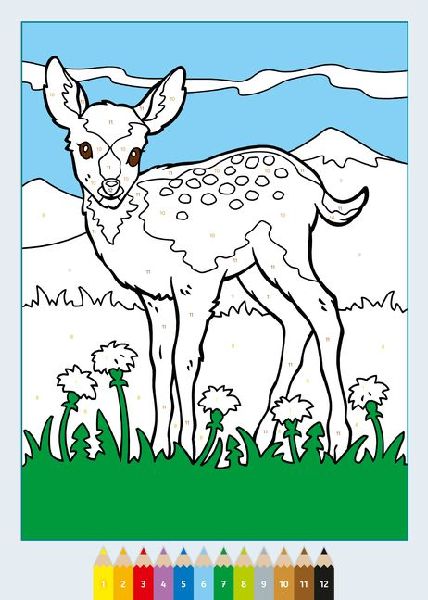 9783473489374 - Sample content