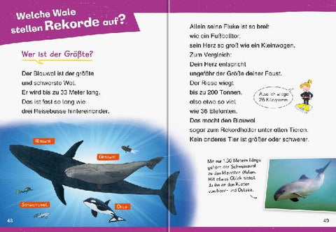 9783473600021 - Sample content