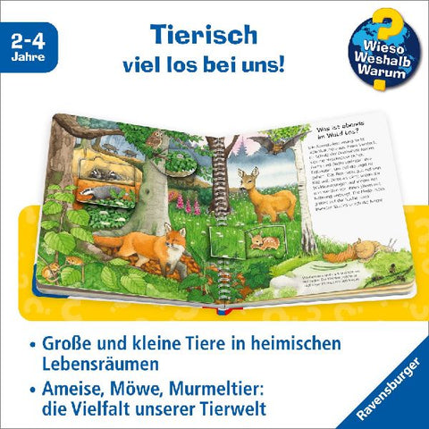 9783473600052 - Sample content