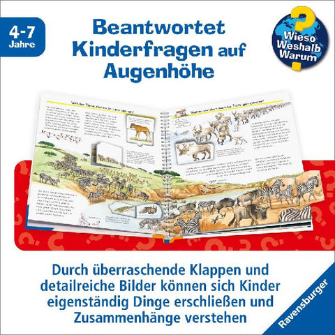 9783473600199 - Sample content