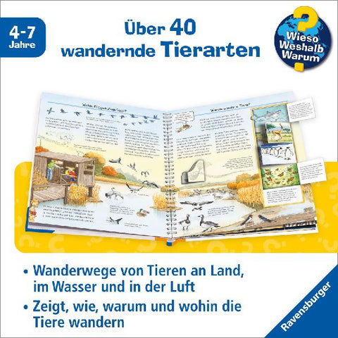 9783473600199 - Sample content