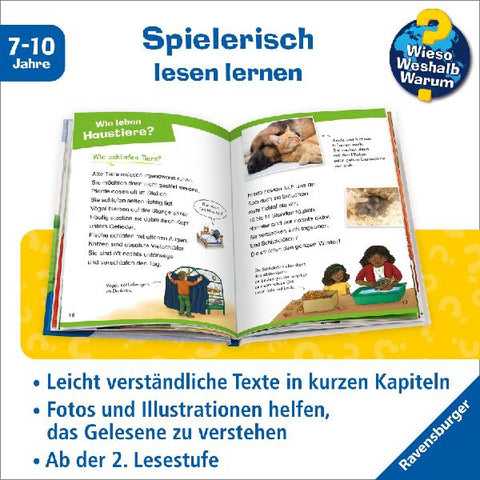 9783473600496 - Sample content