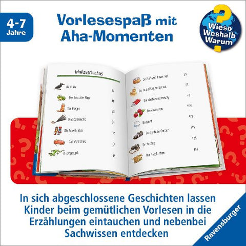 9783473600731 - Sample content