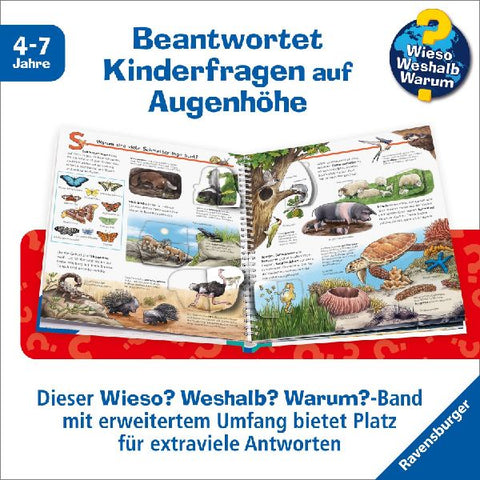 9783473600779 - Sample content