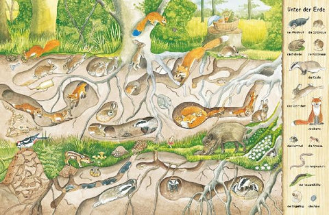 9783480226177 - Sample content