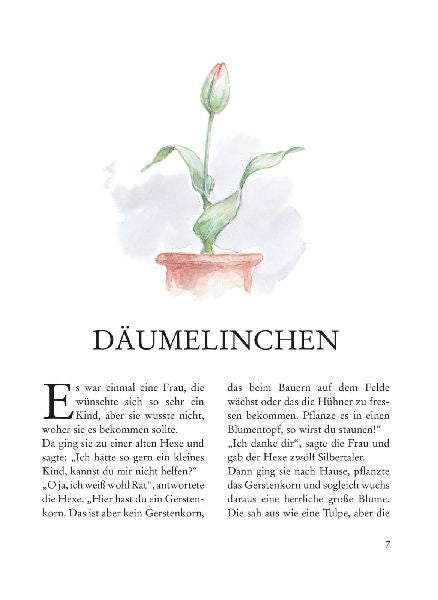 9783480228768 - Sample content