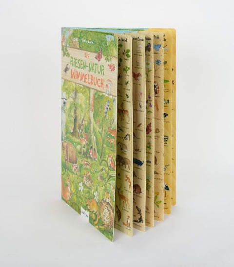 9783480234066 - Sample content