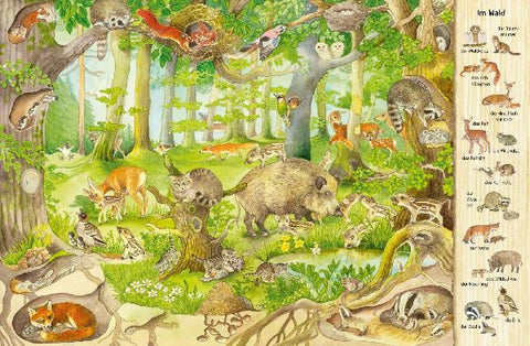 9783480235445 - Sample content