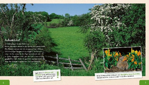 9783480235735 - Sample content