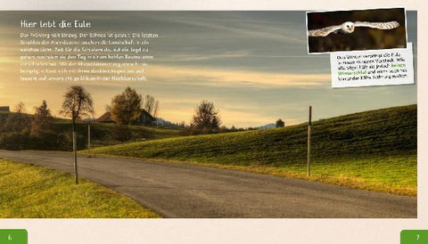 9783480235742 - Sample content