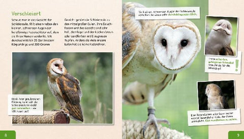 9783480235742 - Sample content