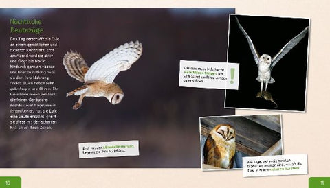 9783480235742 - Sample content