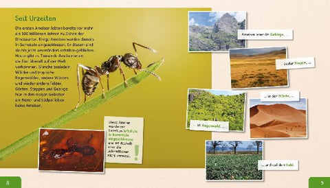 9783480235810 - Sample content