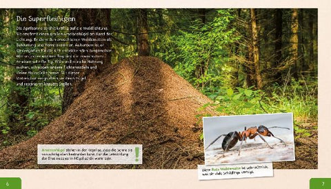 9783480235810 - Sample content