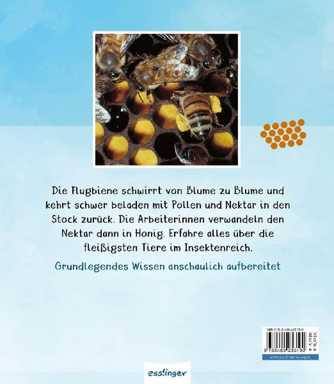 9783480236190 - Back cover