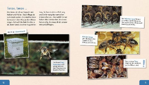 9783480236190 - Sample content