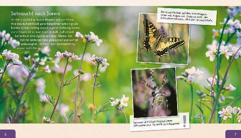 9783480236206 - Sample content