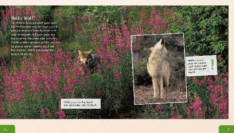 9783480236213 - Sample content