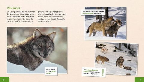 9783480236213 - Sample content