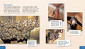 9783480236220 - Sample content