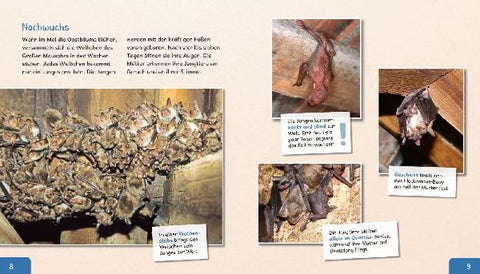 9783480236220 - Sample content