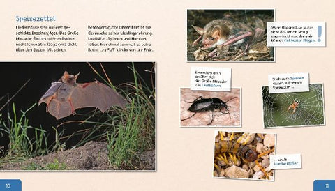 9783480236220 - Sample content