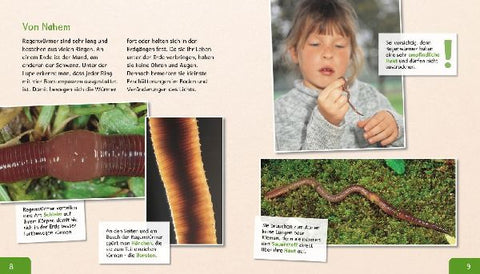 9783480236237 - Sample content