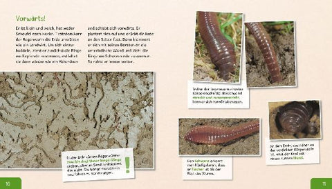 9783480236237 - Sample content