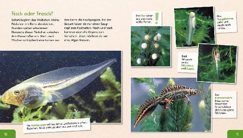 9783480236244 - Sample content