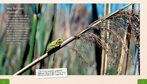 9783480236244 - Sample content